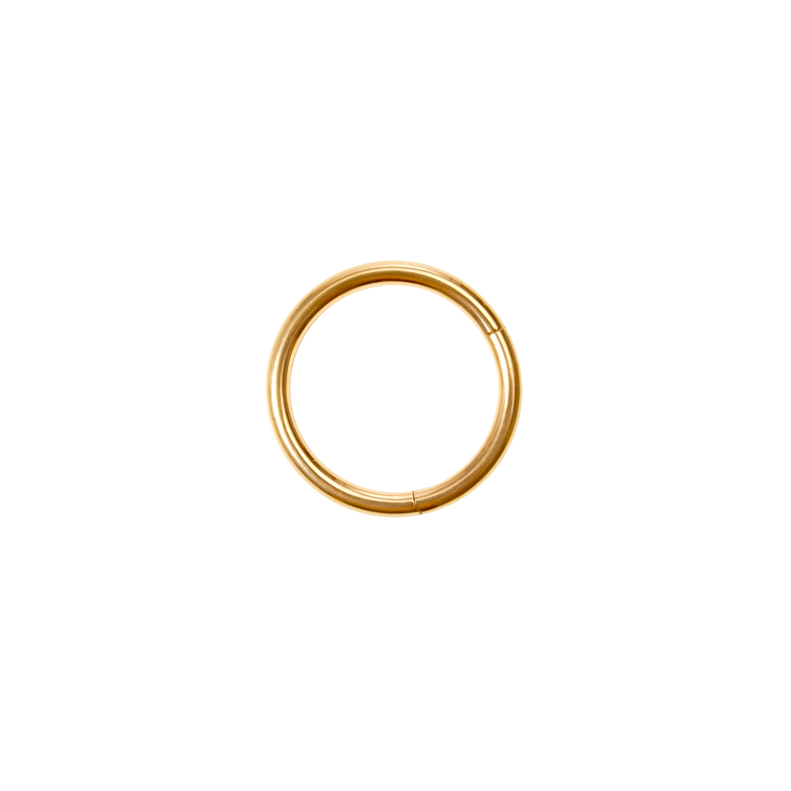 Classic Nose Ring