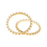 Noor Bangles (2 pack)