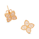 Amira Earrings
